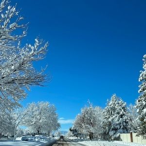 Meet your Posher, Threadlifeco